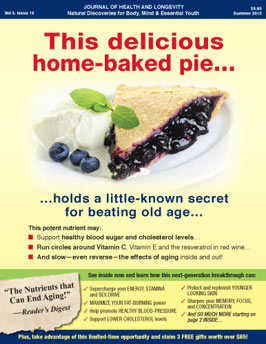 Blueberry Pie magalog